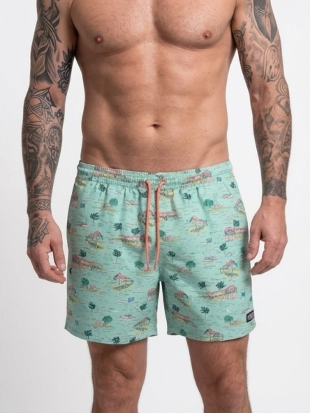 Vineyard Vines "Anguilla Scene" Chappy swim trunks